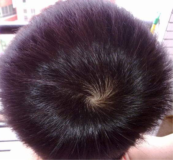 农村老话"一个旋拧,两个旋横,三个旋打架不要命",真是这样吗