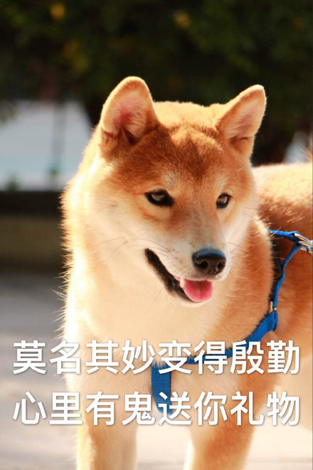 如果你的女票问你是不是出轨,请检讨一下有没有这些现象|出轨|第六感