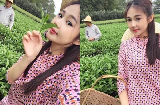 卖茶叶骗局背后,人工智能可能在助纣为虐