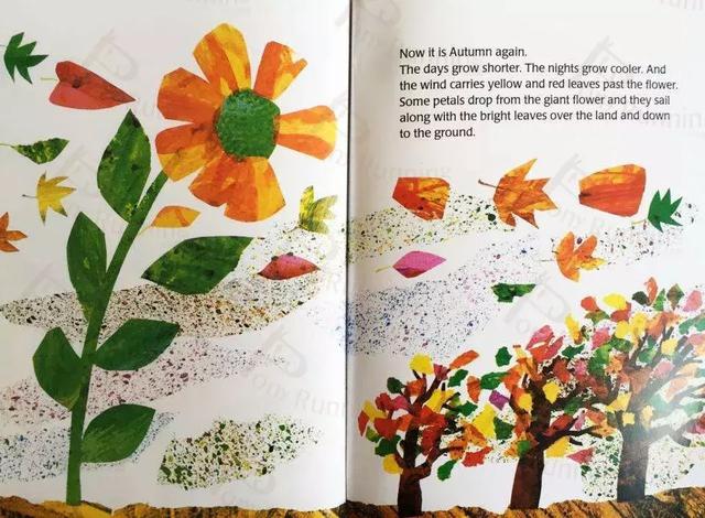 绘本故事：小种子《The Tiny Seed》厚积薄发的生命之旅