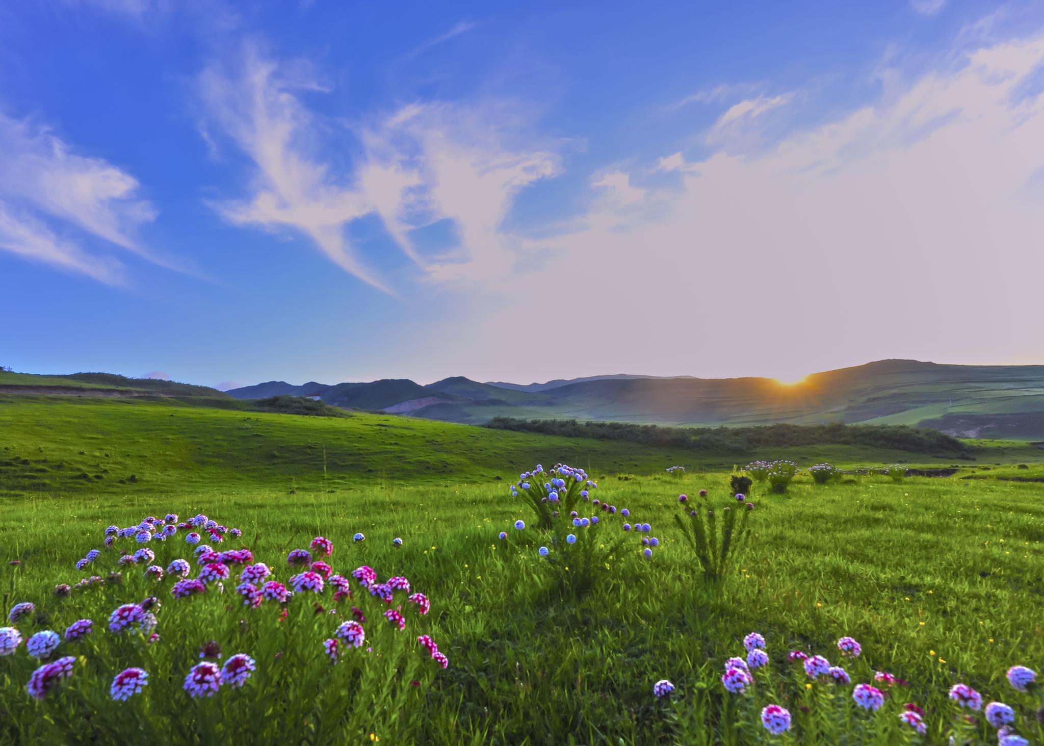 宕昌车拉乡大草原海拔在2204-3296米之间,草场面积有14万亩,是一枚