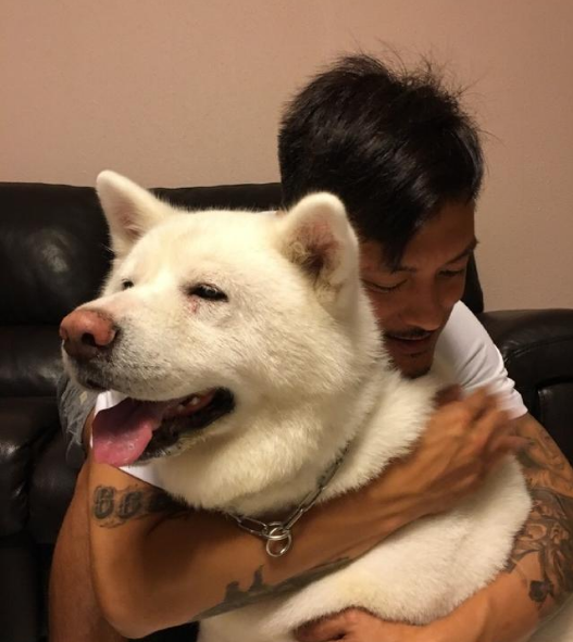 明星抱宠物,余文乐爱不释手,图六让人羡慕,网友:放开它让我来