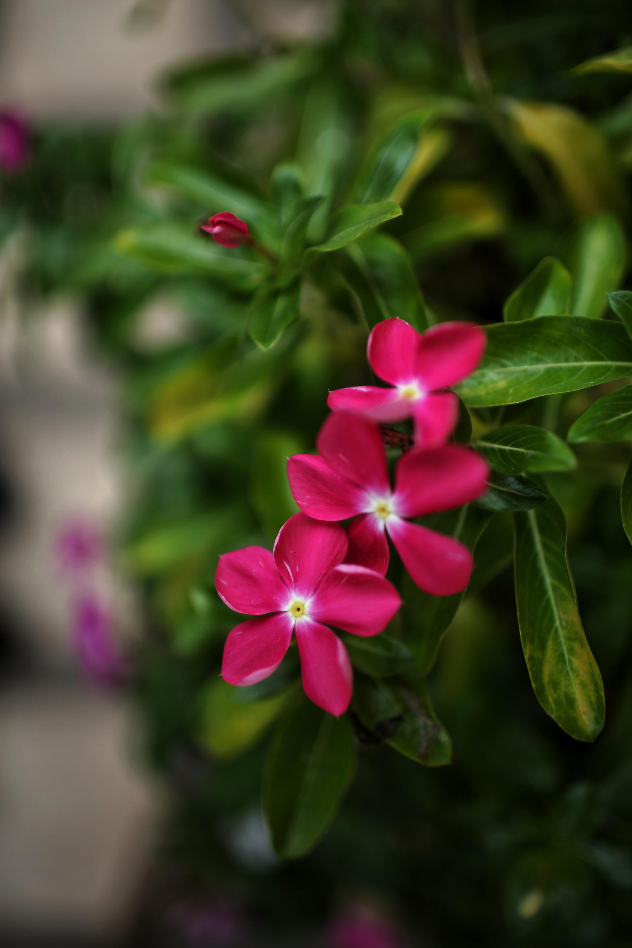 喜欢那些美而不自知的事物