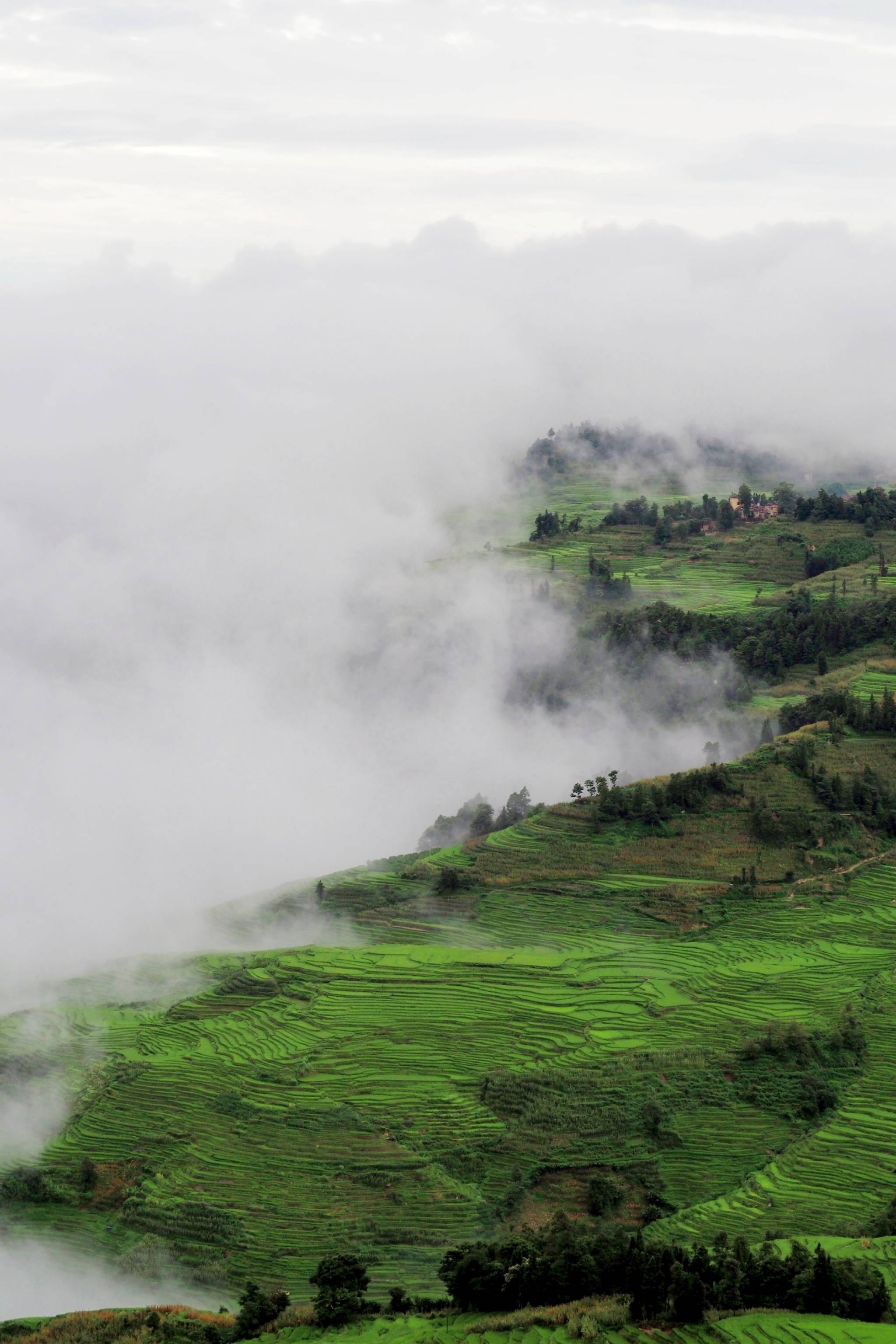 天接云涛连晓雾