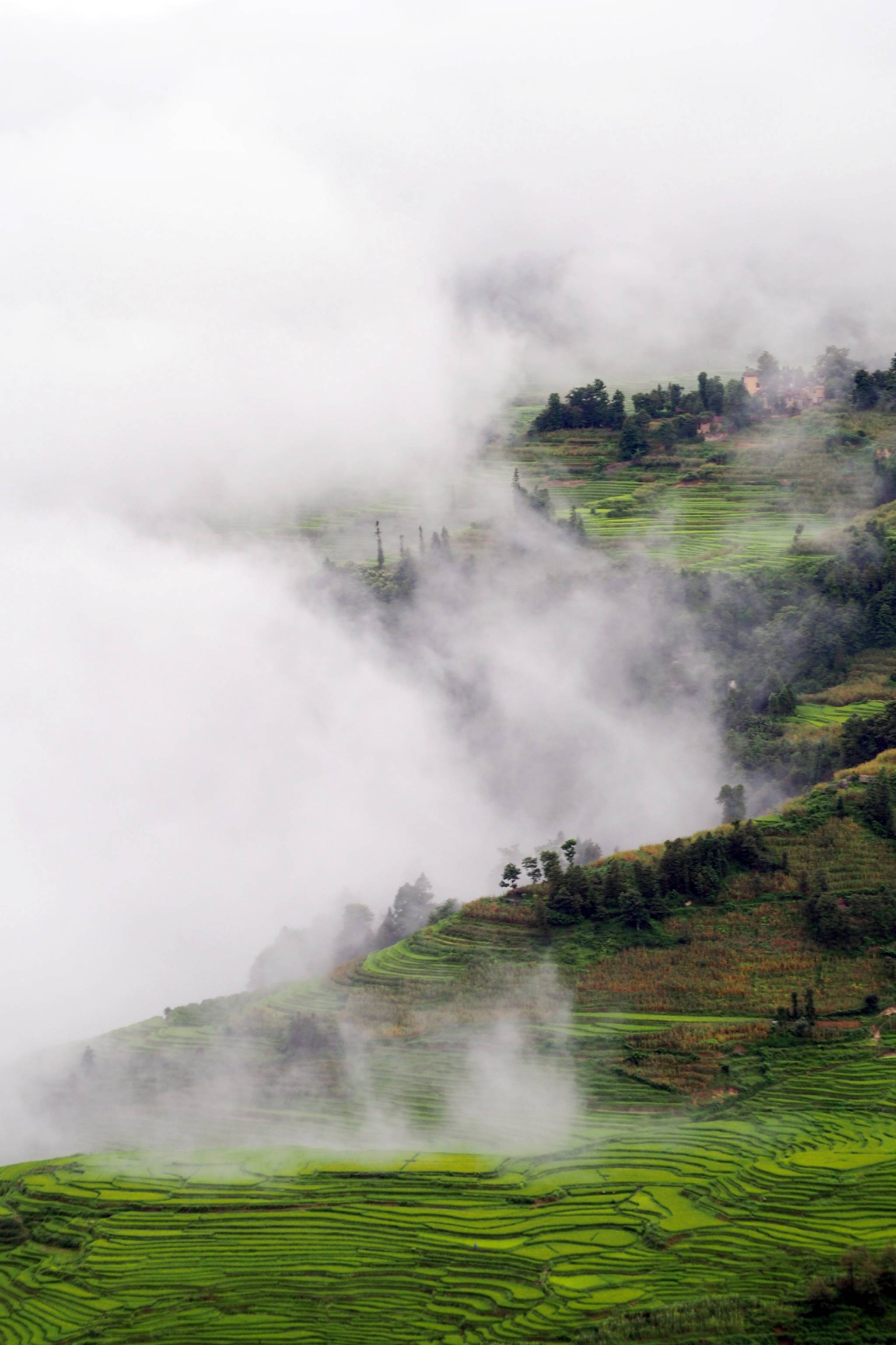 天接云涛连晓雾