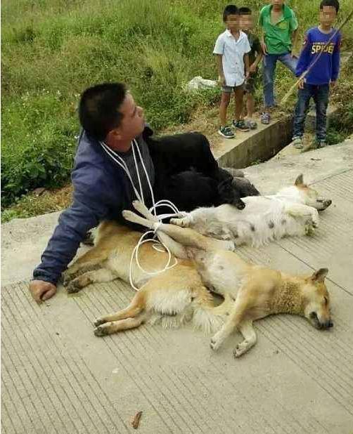偷狗贼躲得掉初一躲不掉十五,为了500元的土狗下场就是如此悲惨