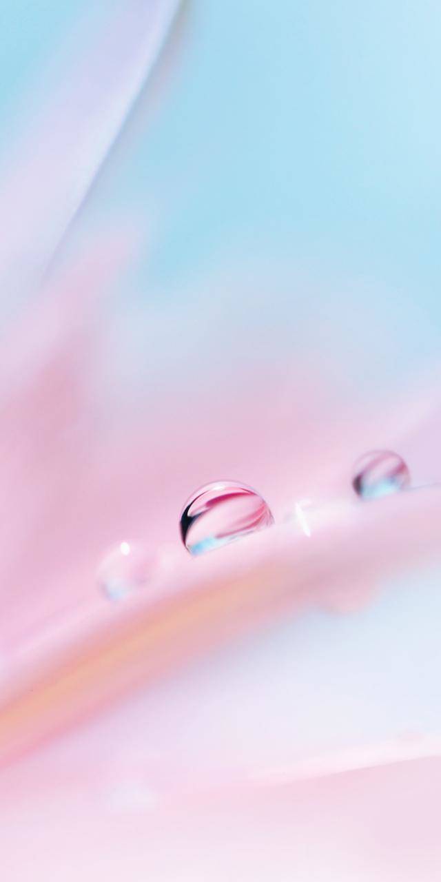 余承东推荐:全新华为p20 pro原厂壁纸 每张都美的让人窒息!__财经头条