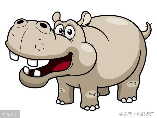 雌河马一般每2到3年交配一次.