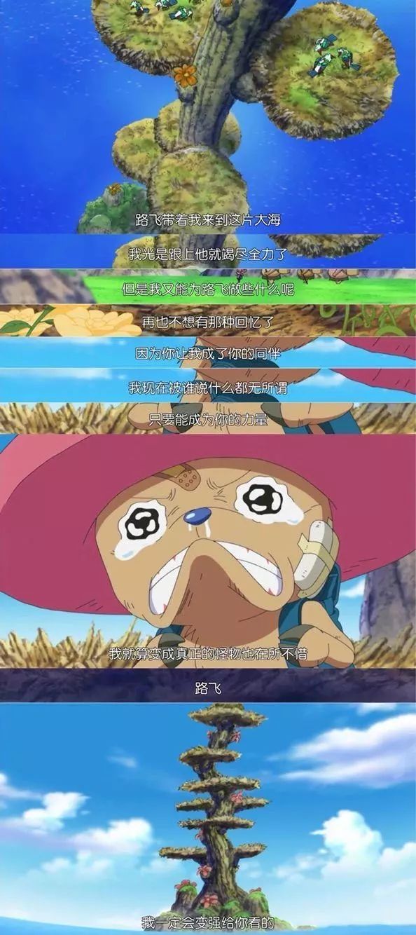 《海贼王》草帽海贼团中谁是最孤独的人?遇见路飞是罗宾的幸运!