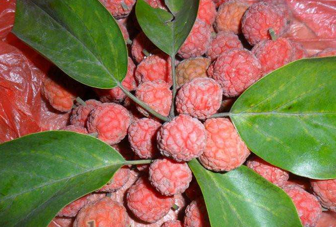 这几种水果还真不一定你见过