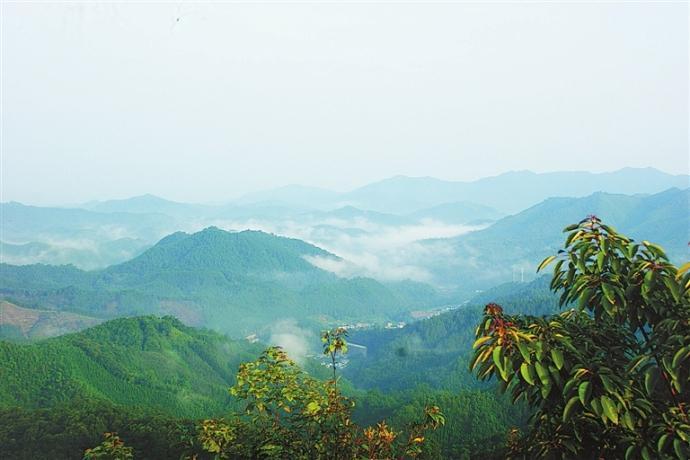 江西赣州信丰县四个值得一去的旅游景点,喜欢的不要错过了