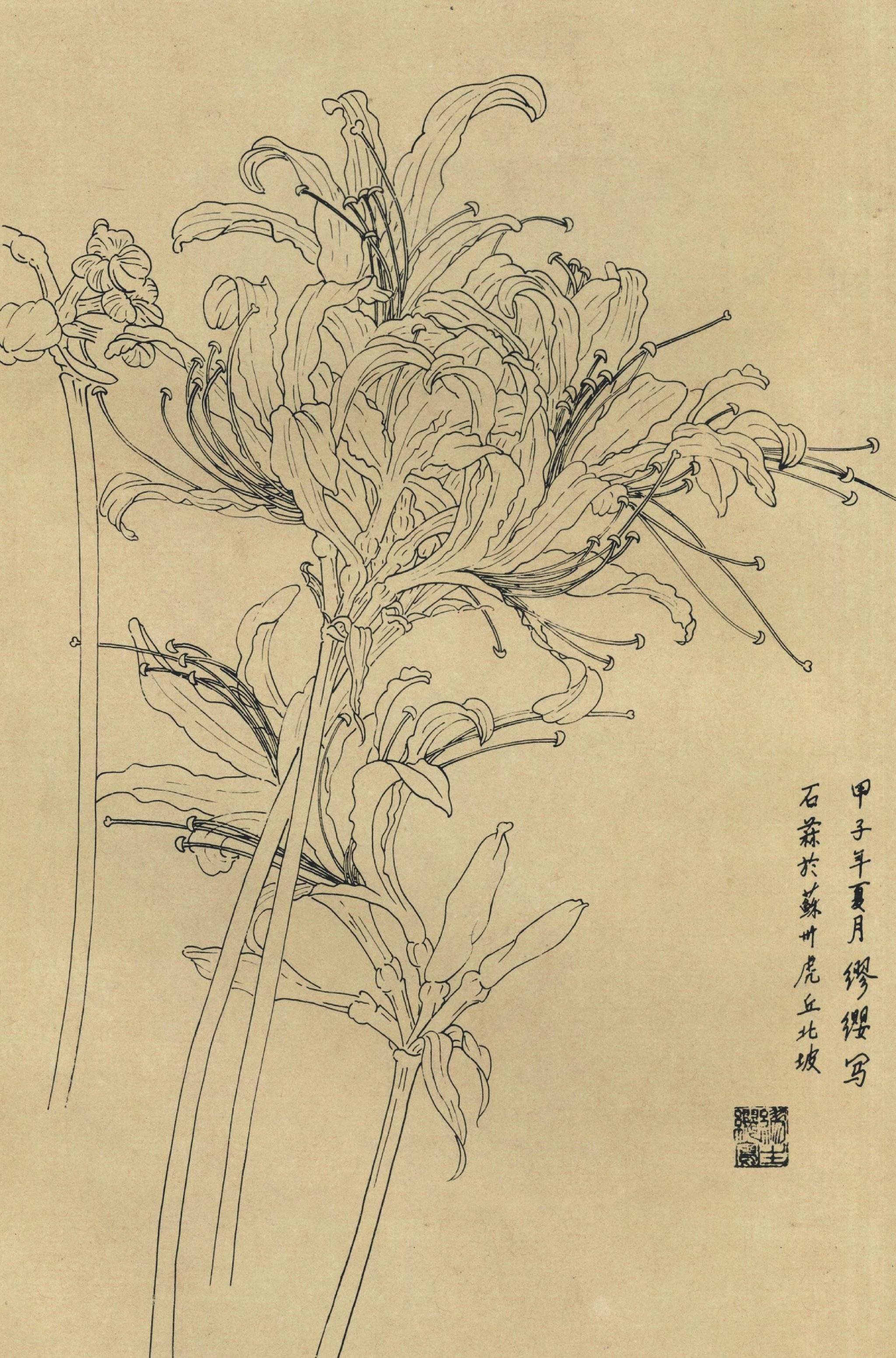 线描百花
