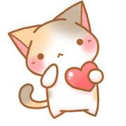 DNF瘟疫之源套装, 娜迦王的打造力度传承套的