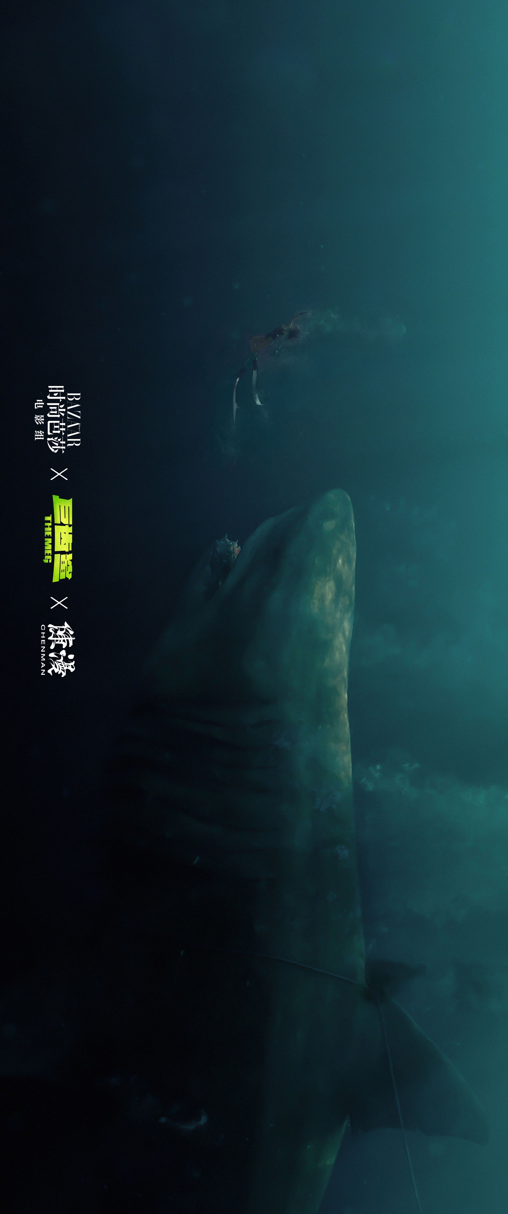 您的好友史前巨齿鲨已上线!叮!您的好友深海冰@李冰冰 已上线