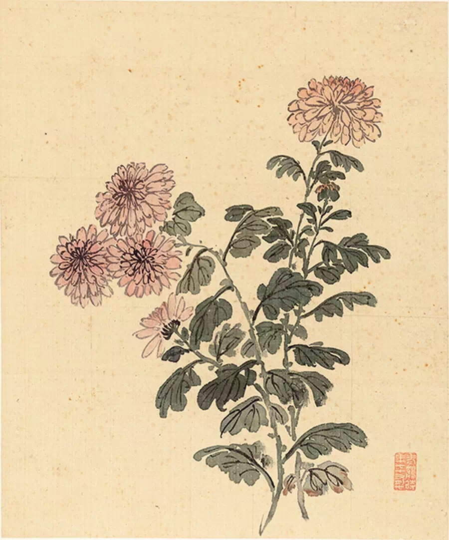 清 杨晋-花鸟十二开作品