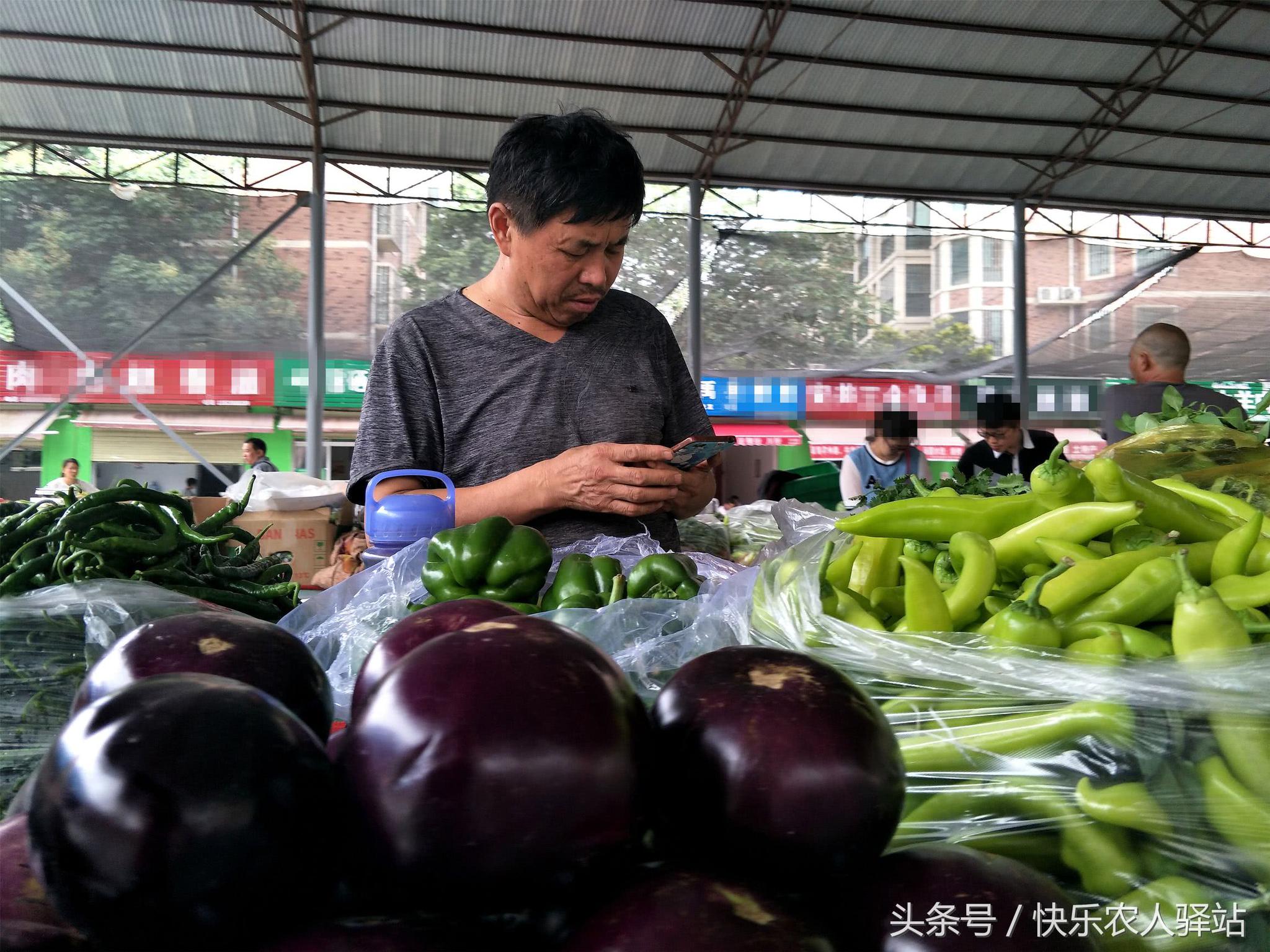 10张卖菜图,一年比一年难干的小生意|菜市场|卖菜|生意_新浪新闻