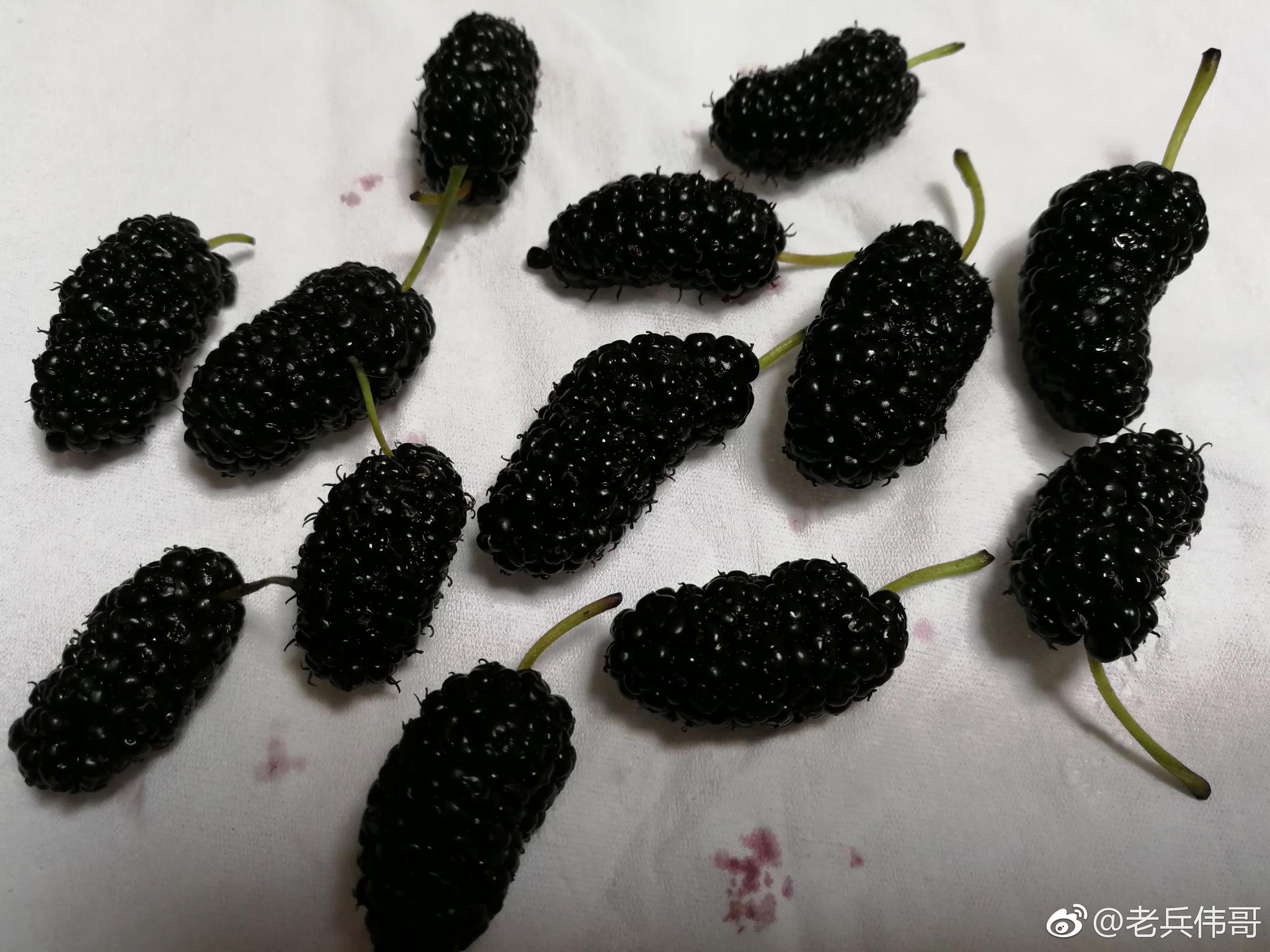 去市场竟然邂逅这种紫黑色的"水果"