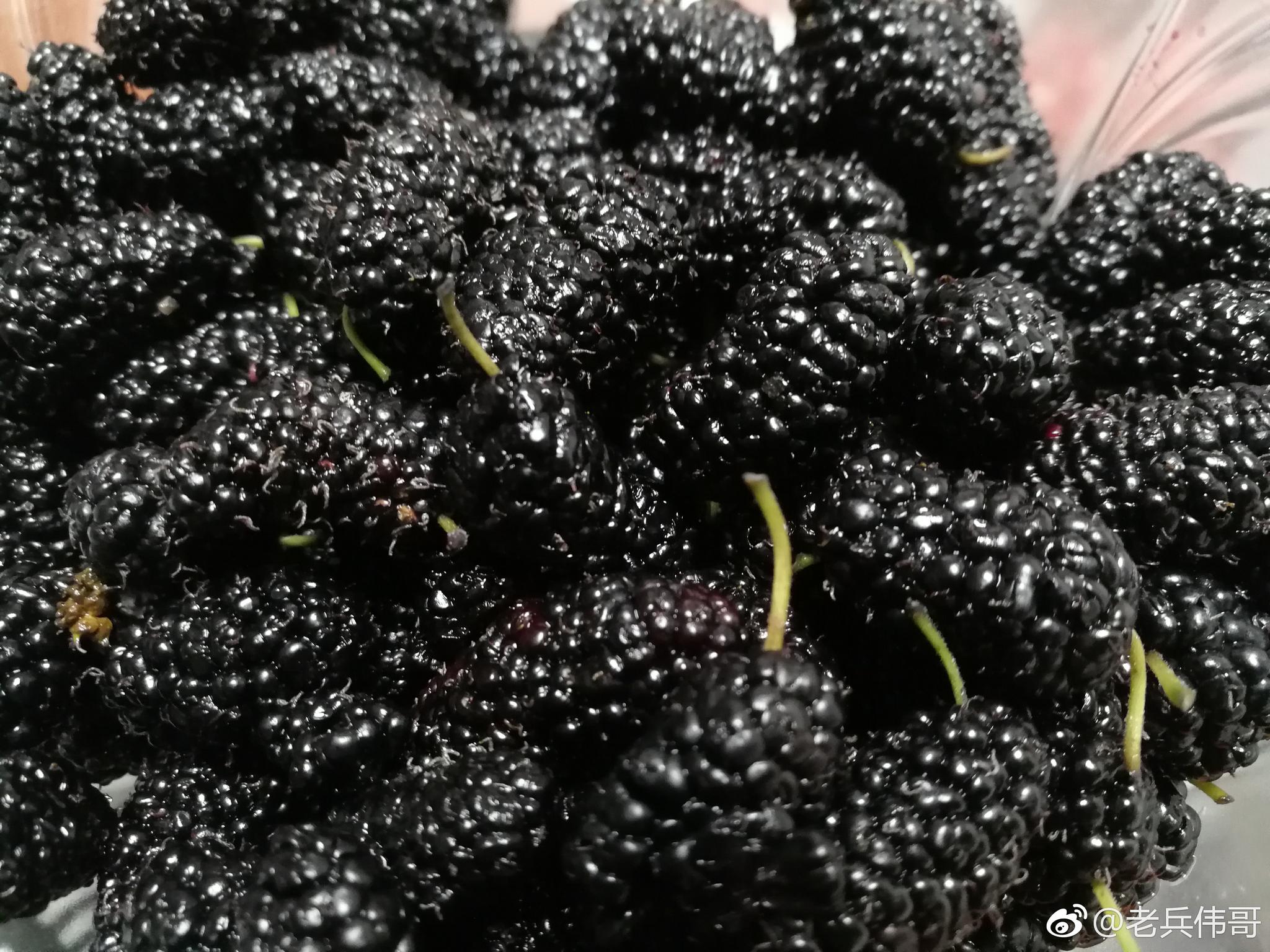 去市场竟然邂逅这种紫黑色的"水果"