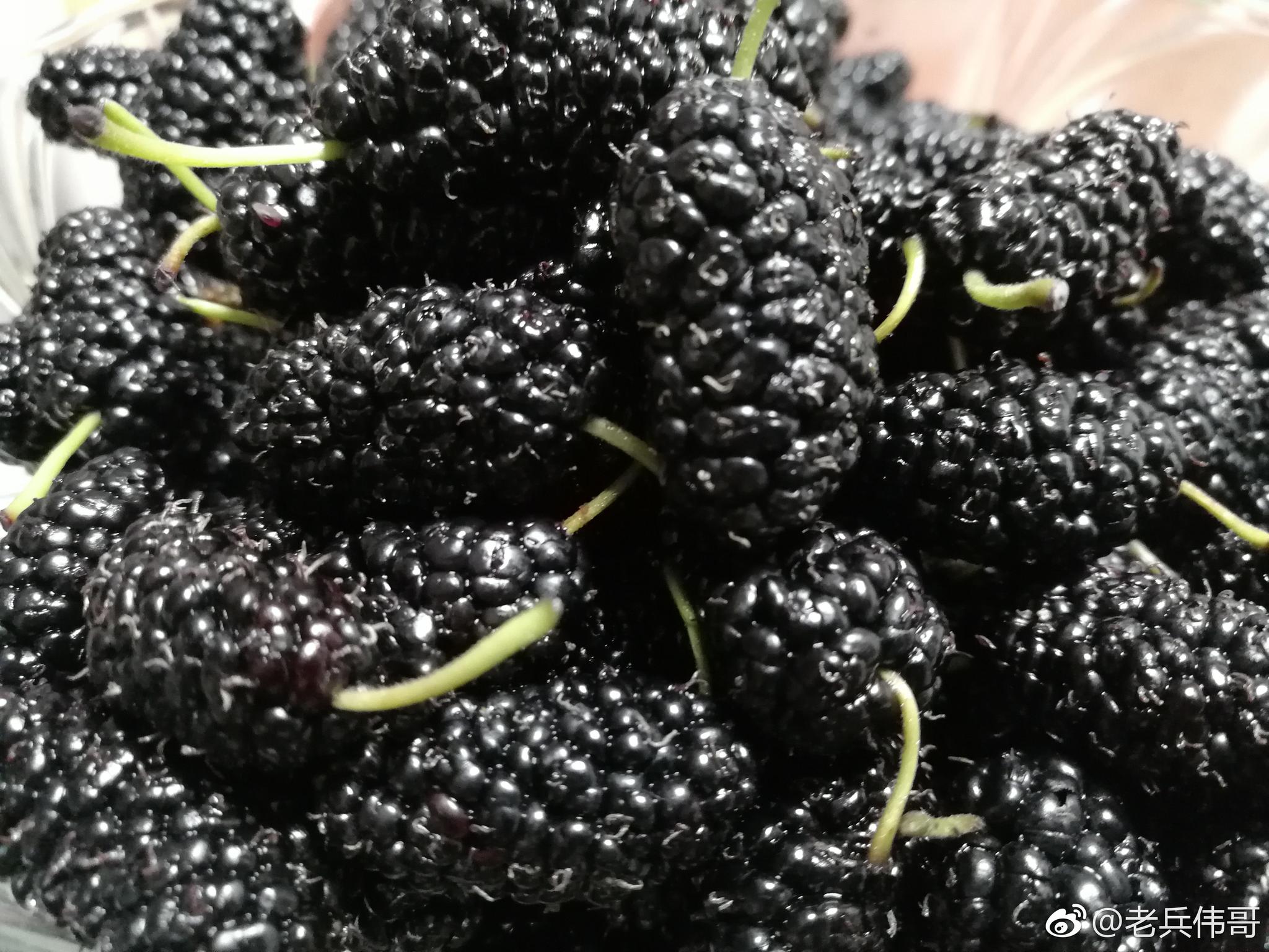 去市场竟然邂逅这种紫黑色的"水果"