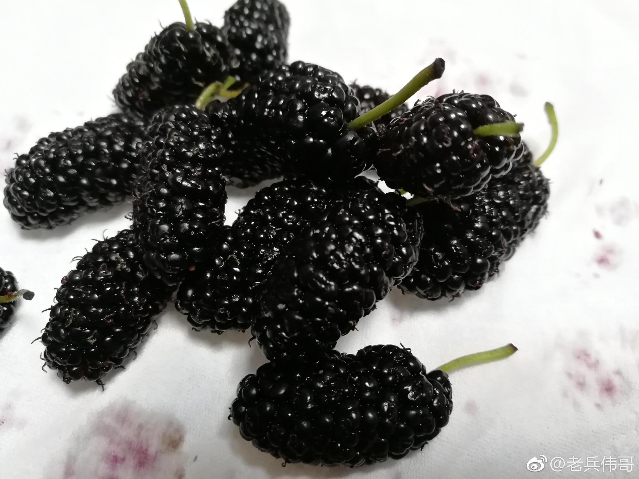 去市场竟然邂逅这种紫黑色的"水果"