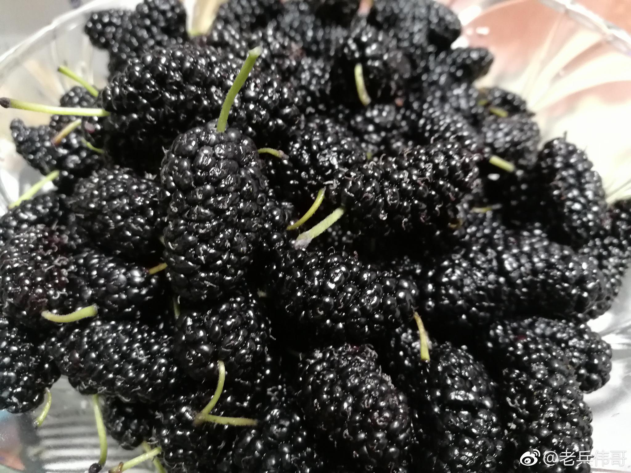 去市场竟然邂逅这种紫黑色的"水果"