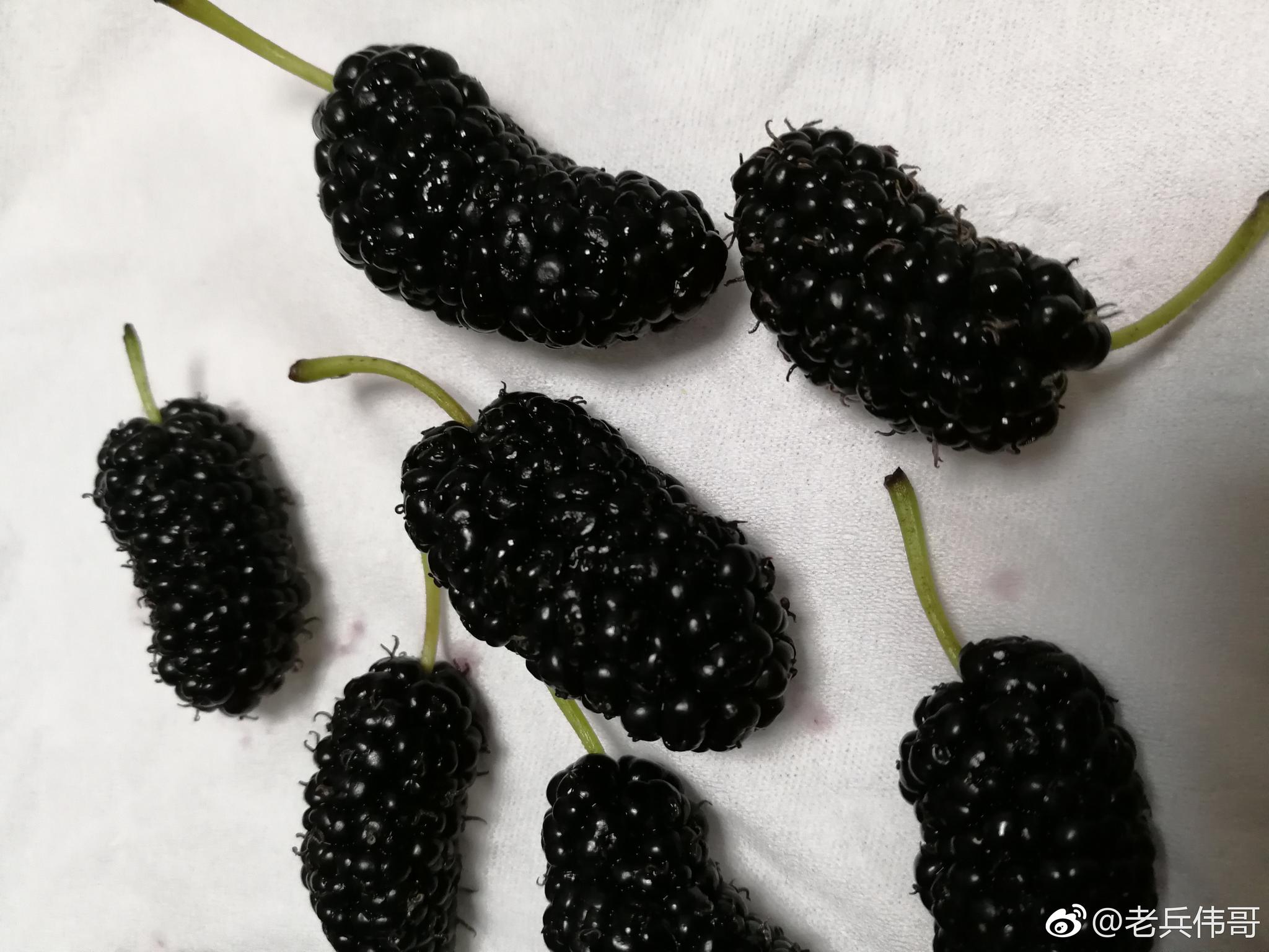 去市场竟然邂逅这种紫黑色的"水果"