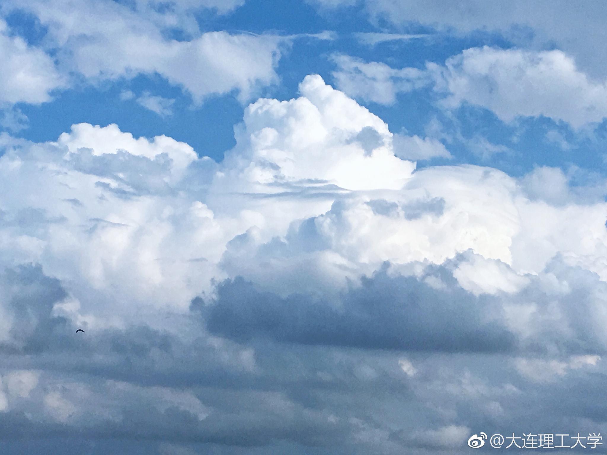 最美的风景是：天边的云，连理的你。摄影 | 胡雨微|连理|摄影|风景_新浪新闻