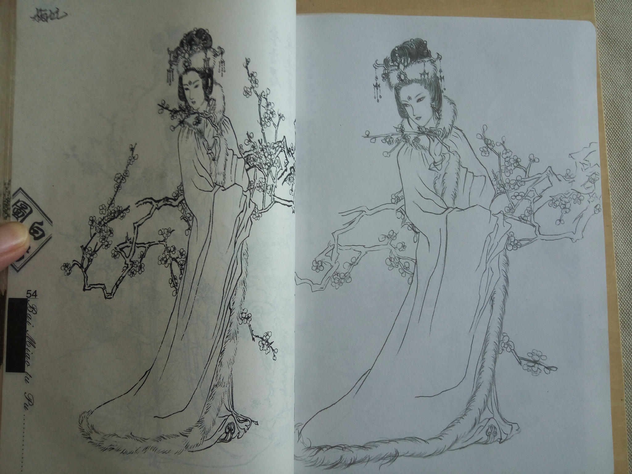 手绘白描练习之梅妃