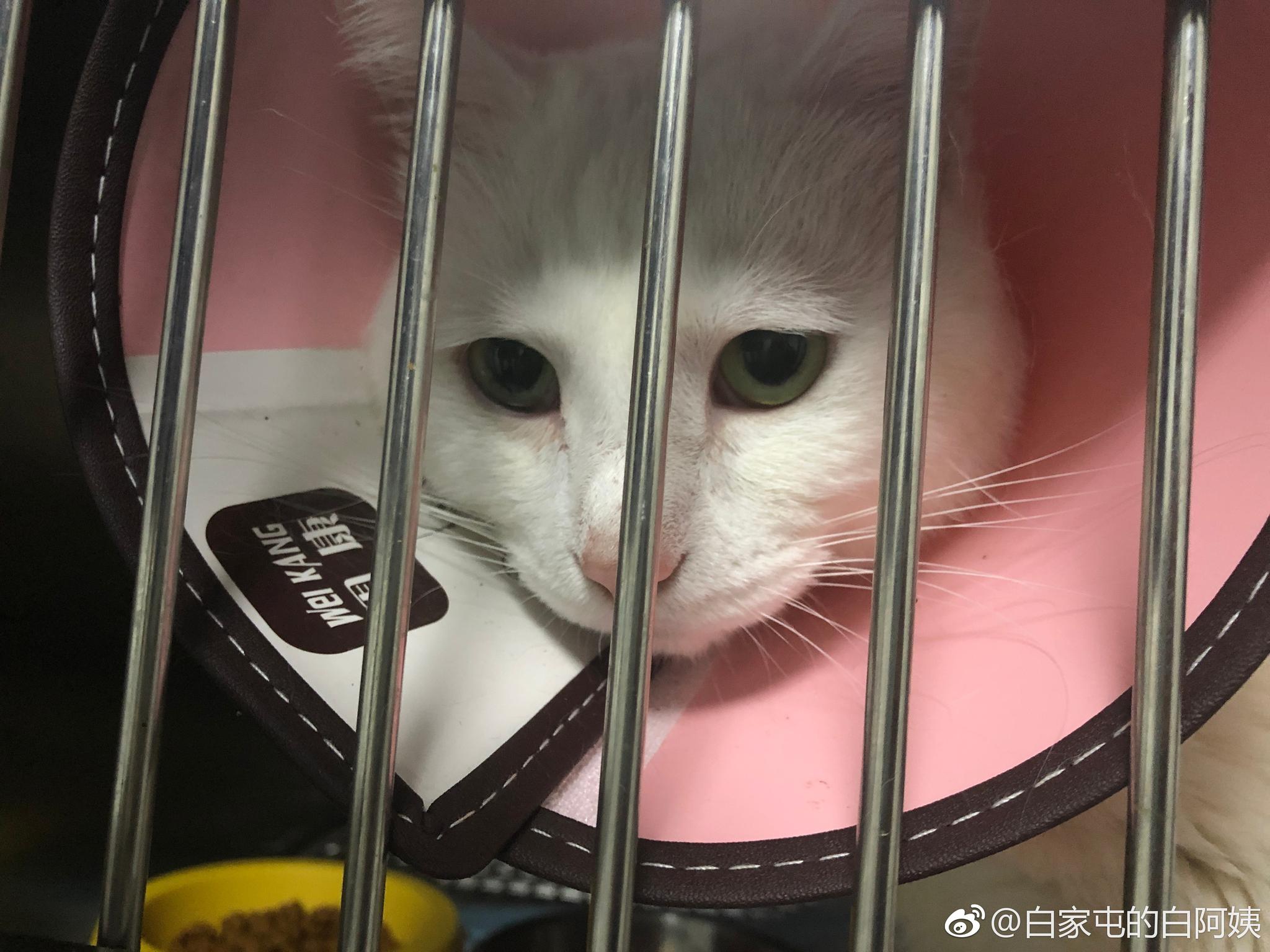 铁窗泪……眼屎擦啦,当妈的就是看不下去
