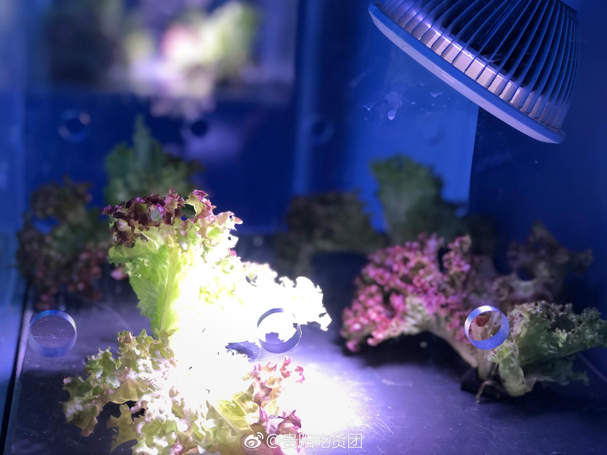 数谷农场是由中国农业科学院中环易达公司策划建设的集生产示范 旅游 数谷农场是由中国农业科学院中环易达公司策划建设的集生产示范 旅游