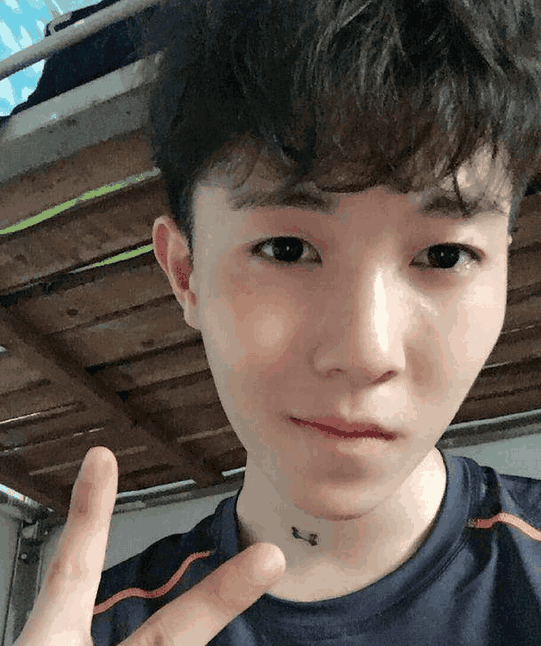 陈新颖pk杨桐杨桐继续守擂成功