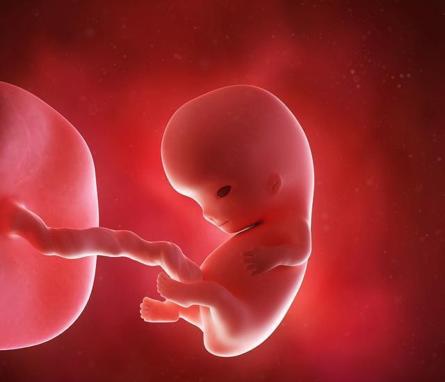 胎宝宝每天在妈妈肚子里做的5件事, 第三个最有趣, 第四个看哭了