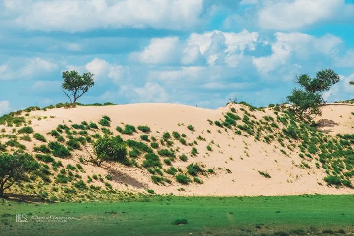 内蒙这个花园沙漠有着一半沙漠一半草原的神奇景观