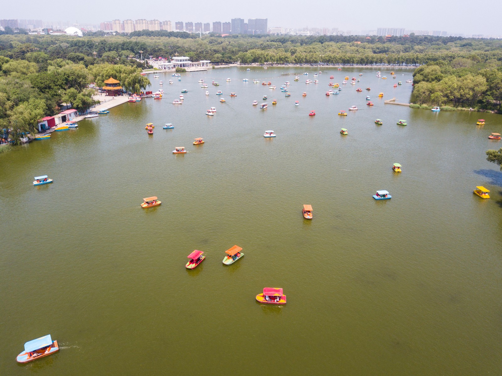 儿童节 让我们荡起双桨 沈阳公园水面飘满五颜六色的游船