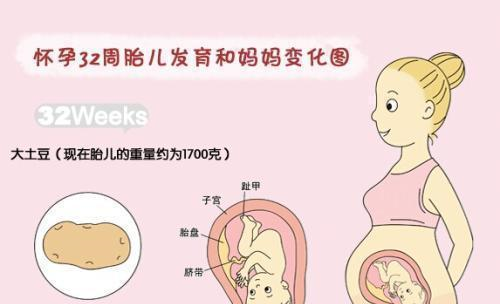 怀胎十月,这样记录胎宝宝每月的成长,过程神奇且美丽!|准妈妈|胎儿|胎宝宝_新浪新闻