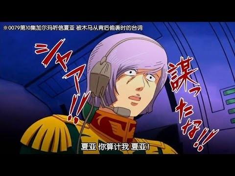 喵星人遭偷摸蛋蛋 瞬间回头太惊恐"惨被变梗图"