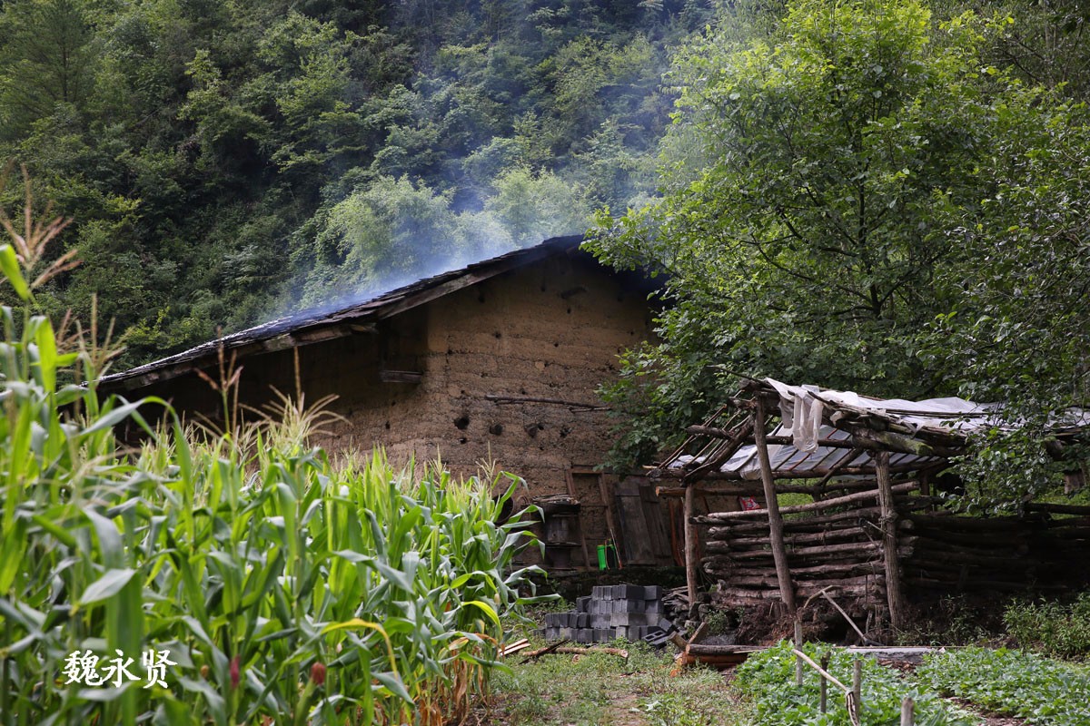 大巴山的一条山沟:留守老人住石板房,有人想投5亿开发_新浪看点
