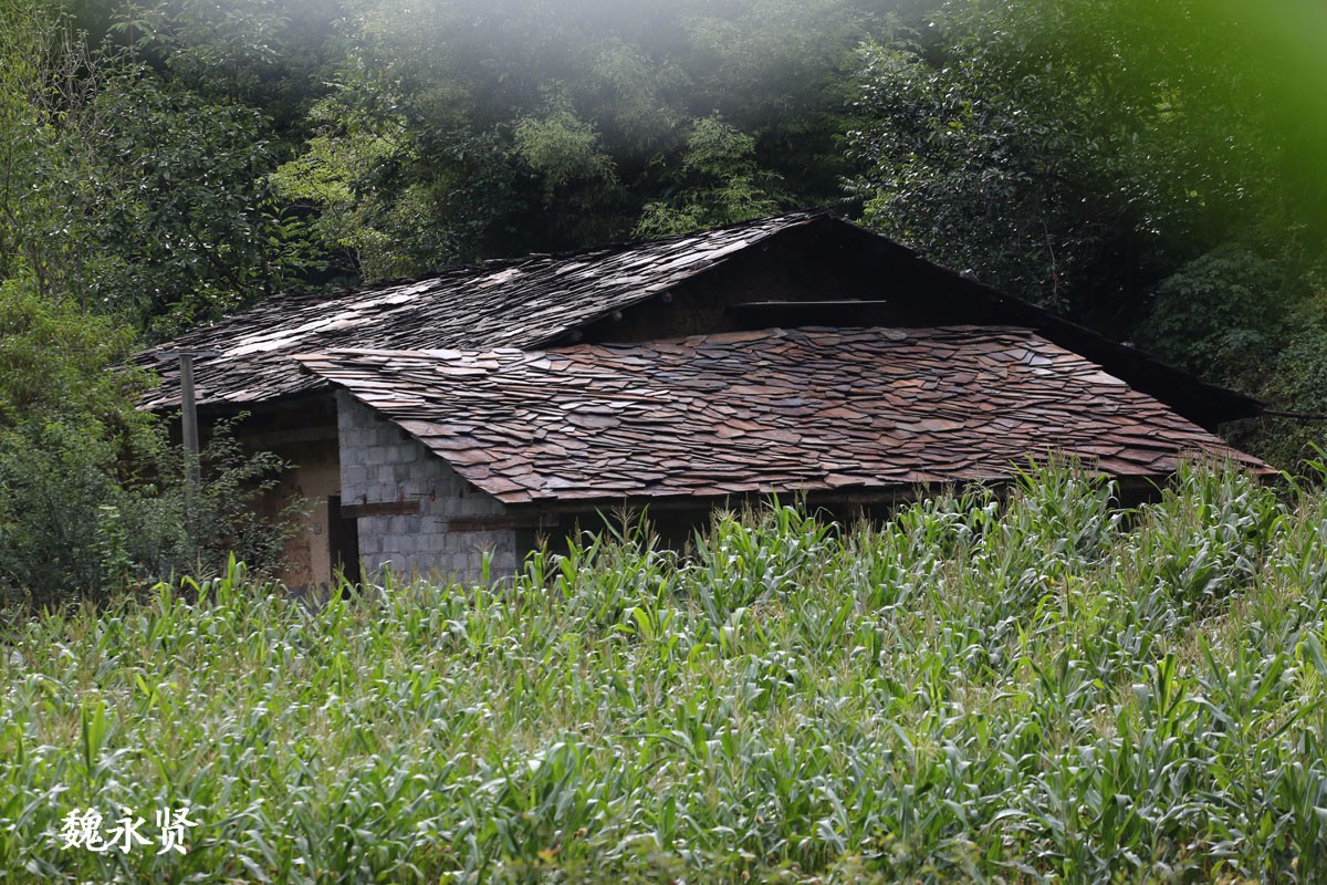 大巴山的一条山沟:留守老人住石板房,有人想投5亿开发_新浪看点