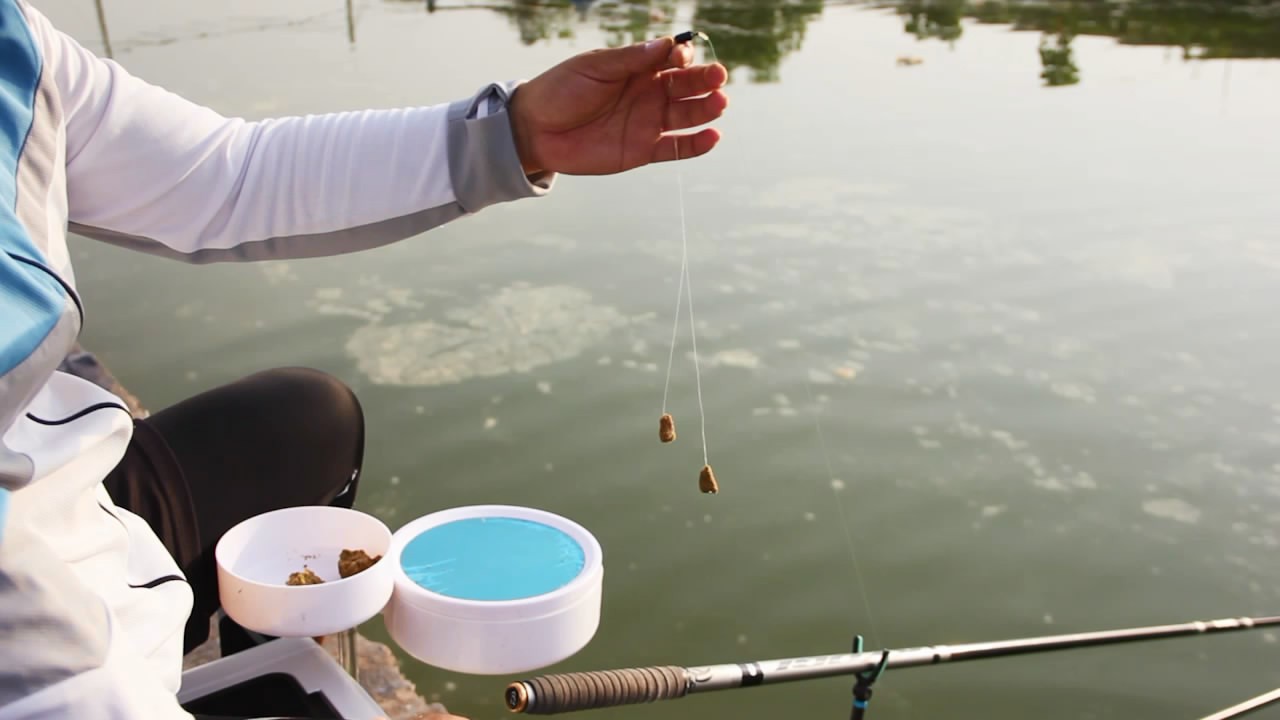从抛竿到起竿,从饵料到子线,这些钓鱼新手的常见错误要赶紧改了