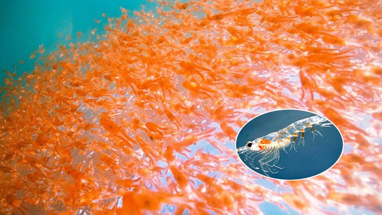 为什么跑车从来不上高速公路?看完五菱宏光车主笑了