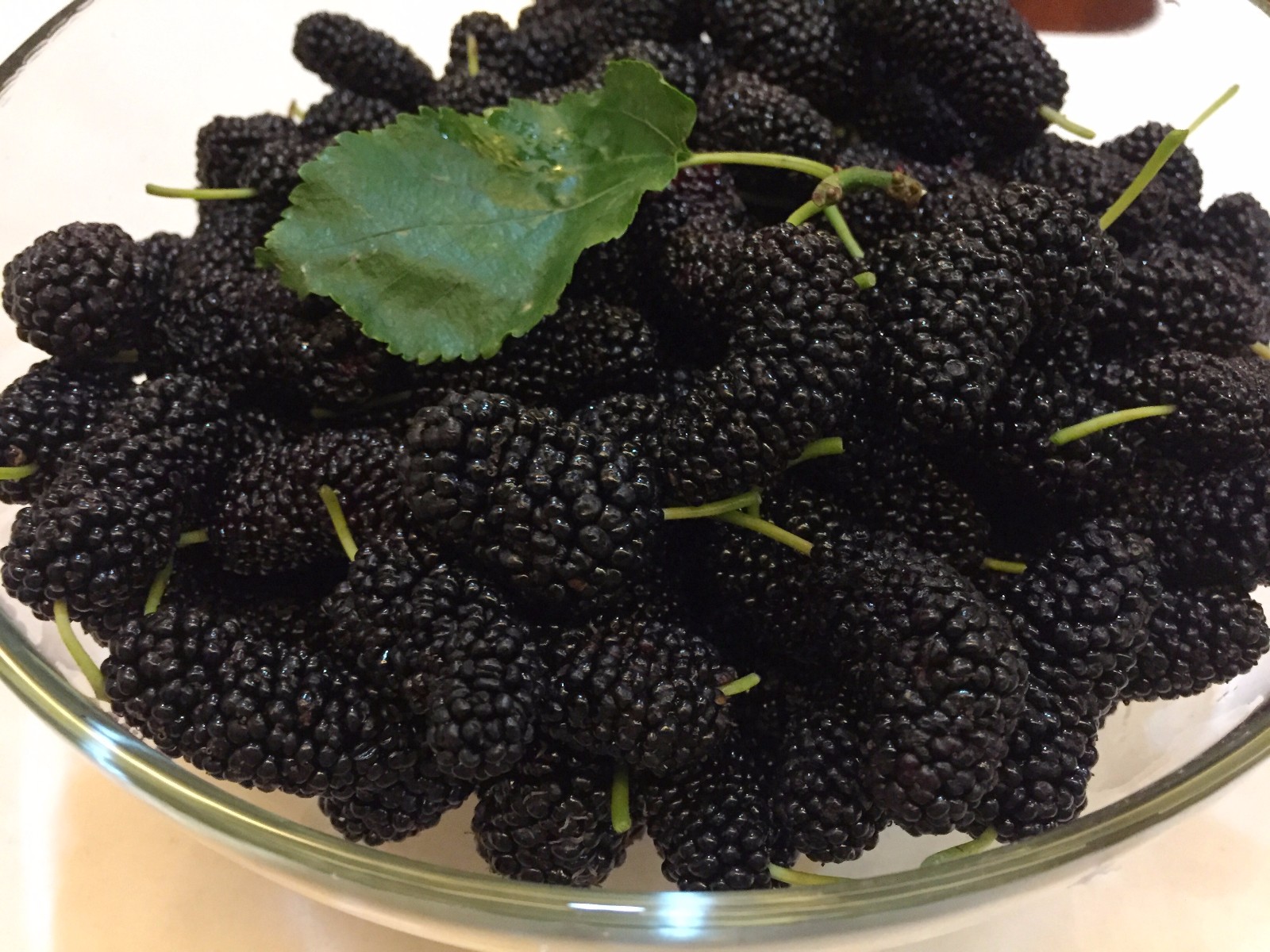 熟透了的桑葚又黑又水灵,好诱人啊 /18图