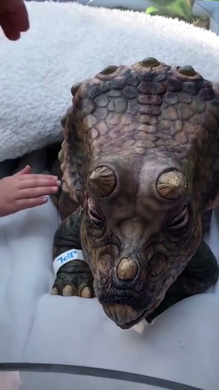 原始神兽,很有灵性,赞起来! 谜之微笑 微博搞笑排行榜