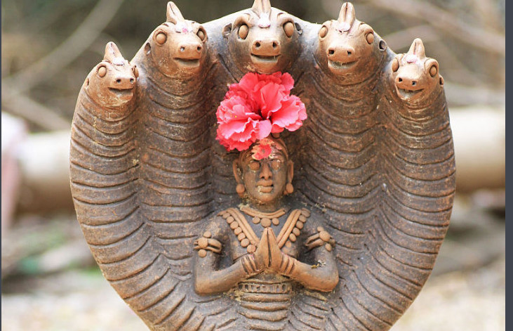 全球第一条 五头蛇 在印度展出!网友称:印度国家又开挂了!