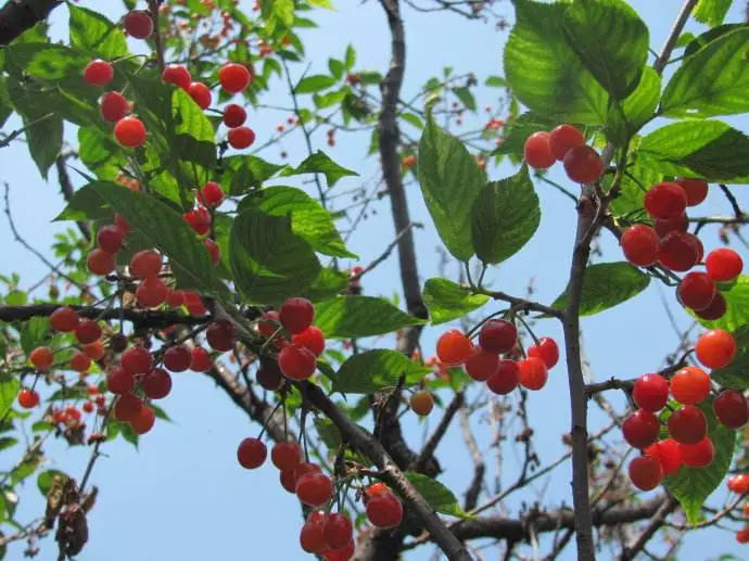 据说,在泰安拍抖音分分钟刷爆100W+!