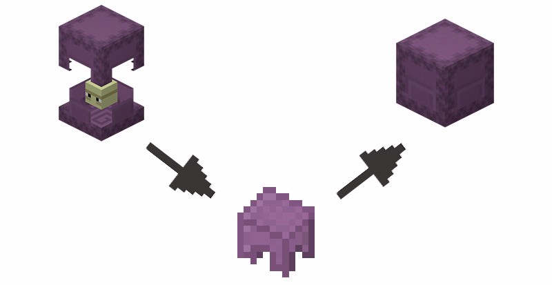 我的世界小知识在末地中隐藏的小可爱潜影贝