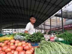 现在做什么小生意好 电熨斗哪个牌子好