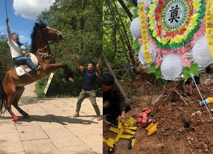 男子与马相依相偎四年,病逝后拒绝宰杀含泪为它办葬礼