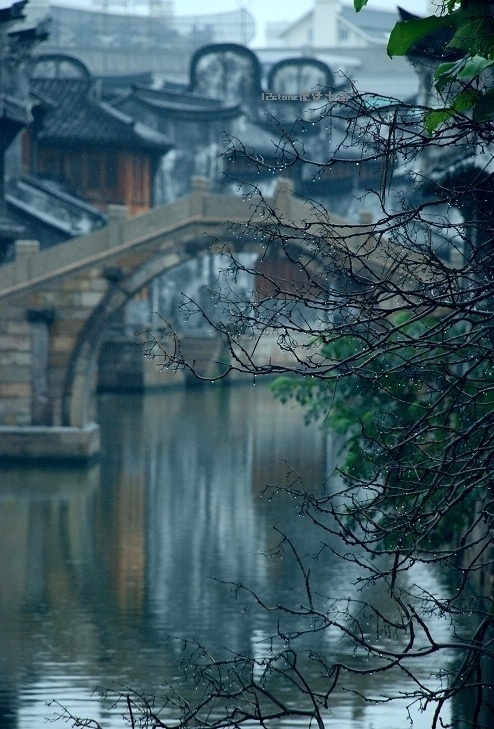 只知雨碎江南,情事稀疏,再不生杂念,唯等时光苍老.