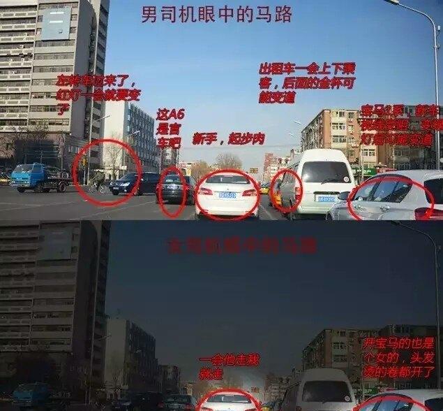 视线上路时车内装饰男女买车时的差别注意狗狗的眼神小编带你来缕一缕