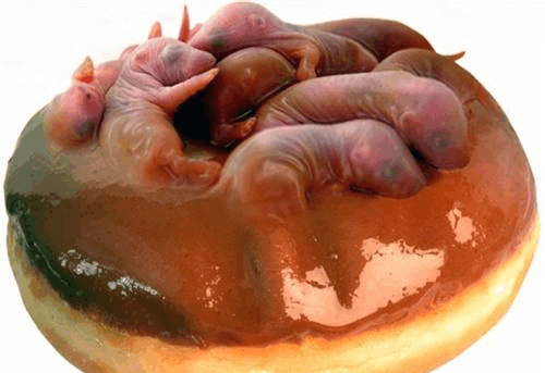 这10道恐怖的禁菜, 比活吃猴脑还可怕, 看完还敢吃的算你牛!